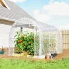 Polytunnel Kas, Beloopbare Kas Met Gegalvaniseerd Stalen Frame En UV bestendige PE hoes, Transparant