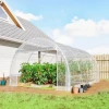 Polytunnel Kas, Beloopbare Kas Met Gegalvaniseerd Stalen Frame En UV bestendige PE hoes, Transparant