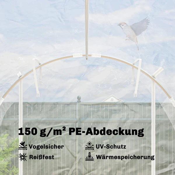 Polytunnel Kas, Beloopbare Kas Met Gegalvaniseerd Stalen Frame En UV bestendige PE hoes, Transparant