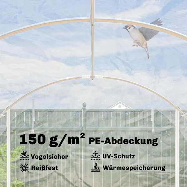 Polytunnel Kas, Beloopbare Kas Met Gegalvaniseerd Stalen Frame En UV bestendige PE hoes, Transparant