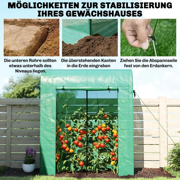 Tomatenkas Foliekas Met Roldeur Netvenster Boogdak 170 X 68 X 200 Cm Groen