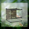 Glas Terrarium Voor Reptielen, Verhoogde & Waterdichte Bodem, Knopslot