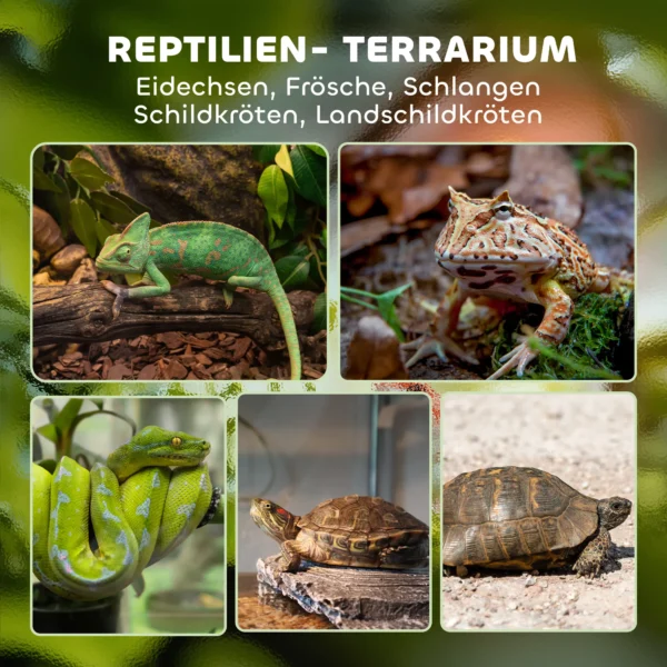 Glas Terrarium Voor Reptielen, Verhoogde & Waterdichte Bodem, Knopslot