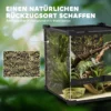 Glas Terrarium Voor Reptielen, Verhoogde & Waterdichte Bodem, Knopslot