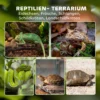 Terrarium Voor Reptielen, Glazen Terrarium 48L Met Voorventilatie, Stenen Achterwand, Draaisluiting 50 X 30 X 35 Cm Zwart