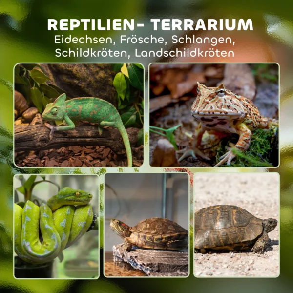 Terrarium Voor Reptielen, Glazen Terrarium 48L Met Voorventilatie, Stenen Achterwand, Draaisluiting 50 X 30 X 35 Cm Zwart