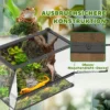 Terrarium Voor Reptielen, Glazen Terrarium 48L Met Voorventilatie, Stenen Achterwand, Draaisluiting 50 X 30 X 35 Cm Zwart