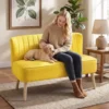 2 zits Bank, Zachte Bekleding, Onderhoudsvriendelijke Hoes, Tot 220 Kg, 117 X 56,5 X 77 Cm, Geel