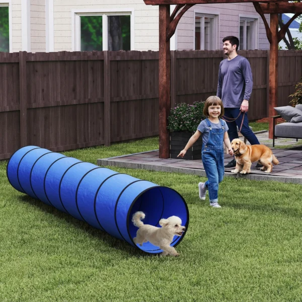 Honden Agility Tunnel 300 X 50 Cm Hondentunnel Met 4 Grondankers Draagtas Speeltunnel Voor Kleine Tot Middelgrote Honden Blauw