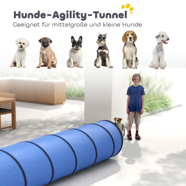 Honden Agility Tunnel 300 X 50 Cm Hondentunnel Met 4 Grondankers Draagtas Speeltunnel Voor Kleine Tot Middelgrote Honden Blauw