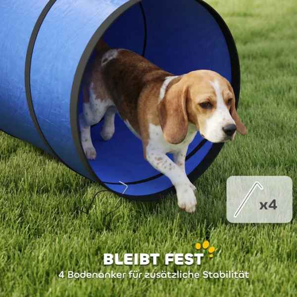 Honden Agility Tunnel 300 X 50 Cm Hondentunnel Met 4 Grondankers Draagtas Speeltunnel Voor Kleine Tot Middelgrote Honden Blauw
