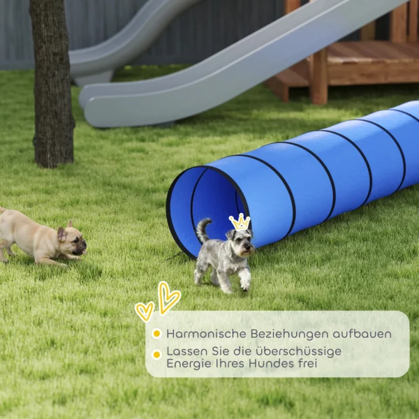 Honden Agility Tunnel 300 X 50 Cm Hondentunnel Met 4 Grondankers Draagtas Speeltunnel Voor Kleine Tot Middelgrote Honden Blauw