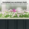 Hoogbed Staal, Plantenbed Met Klikvergrendelingen Gevouwen Rand Kweekbed 136 X 52 X 31 Cm Donkergrijs