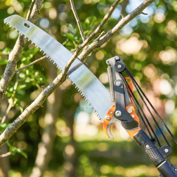 2 in 1 Takkenzaag Met Geïntegreerde Takkenschaar, Boomzaag Met Telescoopsteel 135/172/199 Cm Voor Hoge Takken Oranje