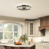 Plafondventilator Met Licht, Dimbare LED plafondventilator Met Afstandsbediening Voor Slaapkamer En Woonkamer, Zwart