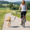 Verstelbare Fietslijn Voor Honden Met Schokdempers, Afneembare Riem, Snelkoppeling Voor Training, Joggen, Zilver+zwart