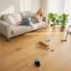 Automatisch/Afstandsbediend Kattenspeelgoed Met Instelbare Snelheid En Aanpasbare Looproutes Zwart