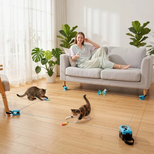 Automatisch/Afstandsbediend Kattenspeelgoed Met Instelbare Snelheid En Aanpasbare Looproutes Zwart