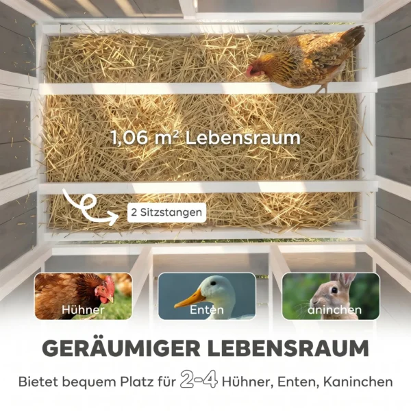 Houten Kippenhok Met Afsluitbare Deur, Legnest, Waterdicht PET dak Voor 3 4 Kippen, 145x90x92 Cm Grijs