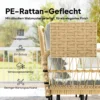 Polyrattan Tuinmeubelset 4 delig, Lounge Set Met Hoekbank Tweepersoonsbank Glazen Tafel Afneembare Kussens Voor Maximaal 5 Personen