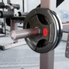 Set Van 2 Haltersgewichten, 2 X 10 Kg Gewichten, Halterschijven Set Voor 5 Cm Haltersstang, Ø 50 Mm Boring, Zwart