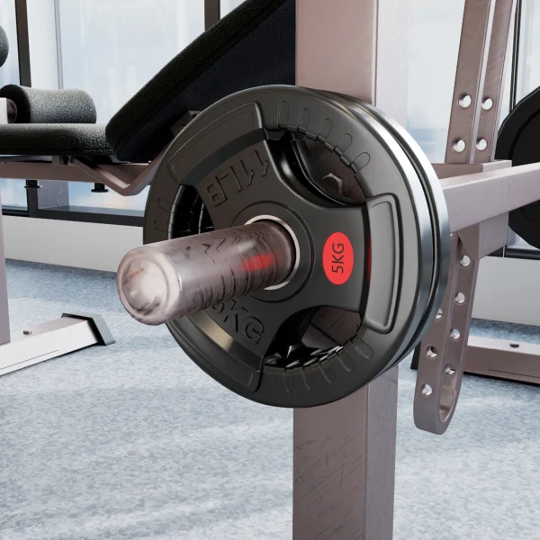 Set Van 2 Haltersgewichten, 2 X 5 Kg Gewichten, Halterschijven Set Voor 5 Cm Haltersstang, Ø 50 Mm Boring, Zwart