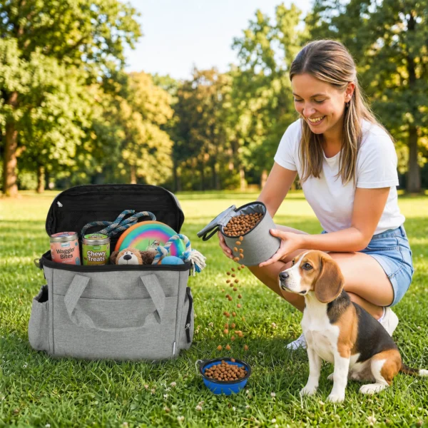Transportbox Voor Honden Met Meerdere Vakken, 2 Voerbakken, Inklapbaar, Siliconen Kom, 38x17x35 Cm, Lichtgrijs