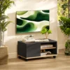 TV meubel Op Wielen Met Remmen, TV meubel Met Kast En Verstelbare Plank, Zwart En Eiken