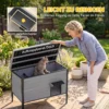 Weerbestendig Kattenhuis Met Opklapbaar Dak, Uitneembare Vloer, Ingang Voor 1 2 Katten Tot 12 Kg, 85x55x70 Cm, Lichtgrijs