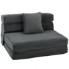 2 in 1 Botloze Wolk Vloerstoel, Opvouwbare Slaapfauteuil Met Koord Optiek & Lendenkussen, Donkergrijs
