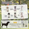 2 in 1 Hondenkar Voor Fiets Opvouwbare Hondenbuggy Voor Kleine & Middelgrote Honden Tot 20 Kg, Groen