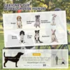 2 in 1 Hondenkar Voor Fiets Opvouwbare Hondenbuggy Voor Kleine & Middelgrote Honden Tot 20 Kg, Wit