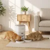 Automatische Kattenvoerdispenser Met Timer, Portieverdeling En 2 Roestvrijstalen Kommen