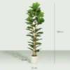Kunstmatige Vioolvijgenboom Kunstplant Met 91 Bladeren, Massief Houten Stam, Pot, 55 X 55 X 180 Cm, Groen