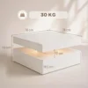 LED salontafel Met Opbergruimte, 2 laags Moderne Tafel Met Open Opslag En Afstandsbediening, Hoogglans Wit