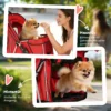 Opvouwbare Hondenwagen Met Reflecterende Strepen, Opbergmand En Kussen Voor Kleine Honden Tot 10 Kg 77x44x102cm Rood