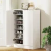 Schoenenkast Met 2 Deuren, 6 Verstelbare Planken, Soft close Scharnieren Voor 21 Paar, Wit