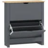 Schoenenkast Met 2 Klapvakken, Verstelbare Scheidingswand Voor 8 12 Paar Schoenen, 72 X 26 X 80 Cm, Donkergrijs