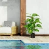 Kunstpflanze, Kunststoff Pflanze, Zementtopf, Indoor Und Outdoor, 95 Cm, Grün