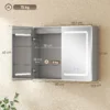 Spiegelschrank Für Das Badezimmer Mit LED Beleuchtung, 60 X 80 Cm Badschrank Mit Anti Beschlag, 3 fach Dimmbare