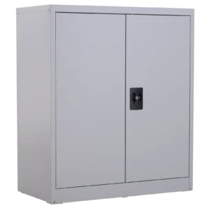 Aktenschrank Stahlschrank Mehrzweckschrank Mit Verstellbarem Regal Und Schloss Für Arbeitszimmer Wohnzimmer Grau