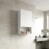 Badkamerkast Voor Wandmontage, Met Verstelbare Planken En Deur, Wit