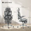 Ergonomische Bureaustoel, Mesh computerstoel Met Aparte Rugleuning, Lendensteun, 4D Inklapbare Armleuningen, Grijs