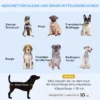Hundesofa Hundebett Aus Holländischem Samt Hundecouch Mit Rückenlehne, Holzbeine, Kissen Blau