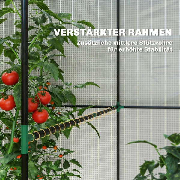 Kas Broeikas Koud Frame, Weerbestendig, Oprolbare Deur, 200 X 200 X 140 Cm, Wit, Donkergroen