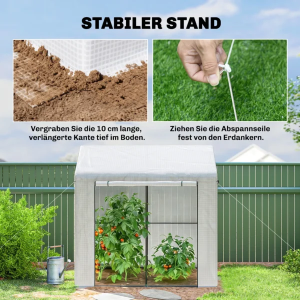 Kas Broeikas Koud Frame, Weerbestendig, Oprolbare Deur, 200 X 200 X 140 Cm, Wit, Donkergroen