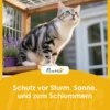 Kattenhuis Weerbestendige Kattenhut Van Hout Met Opklapbaar Dak Aluminium Isolatieplaten Asfaltdak 61x51x53,5 Cm