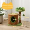 Krabpaal 53 Cm Hoog, Kattenboom Met Hol, Boomstamontwerp, Jutestammen, 2 Ballen Voor 1 2 Katten Onder 5 Kg, Bruin+Groen