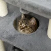 Krabpaal Kattenboom, Incl. Speelgoed En Kattenbed, 60 Cm X 30 Cm X 76 Cm, Lichtgrijs