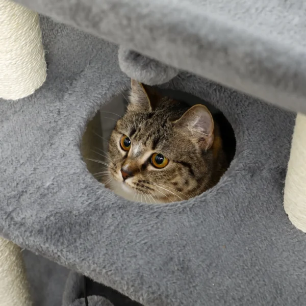 Krabpaal Kattenboom, Incl. Speelgoed En Kattenbed, 60 Cm X 30 Cm X 76 Cm, Lichtgrijs